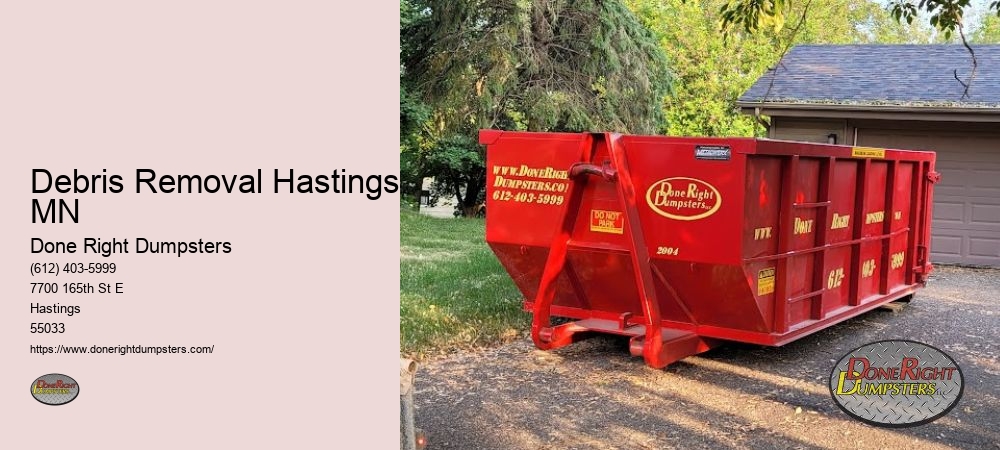 Debris Removal Hastings MN